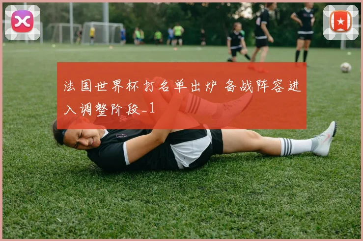 法国世界杯打名单出炉 备战阵容进入调整阶段_1