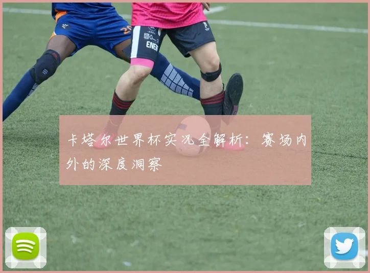 卡塔尔世界杯实况全解析：赛场内外的深度洞察