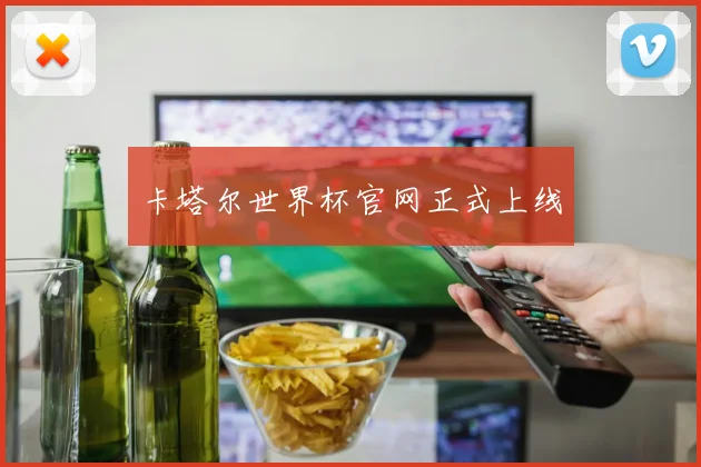 卡塔尔世界杯官网正式上线