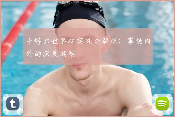 卡塔尔世界杯实况全解析：赛场内外的深度洞察