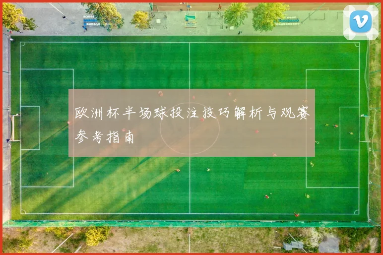 欧洲杯半场球投注技巧解析与观赛参考指南