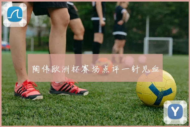 陶伟欧洲杯赛场点评一针见血