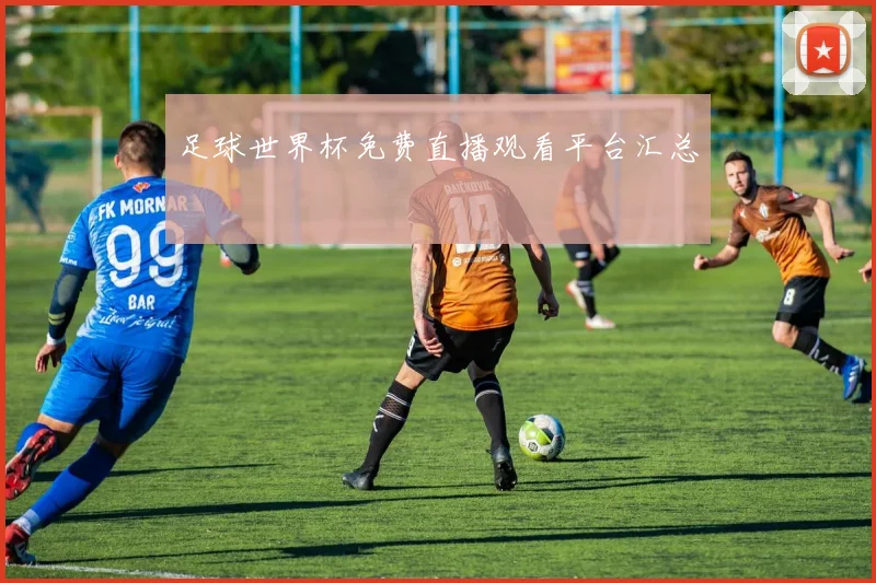 足球世界杯免费直播观看平台汇总