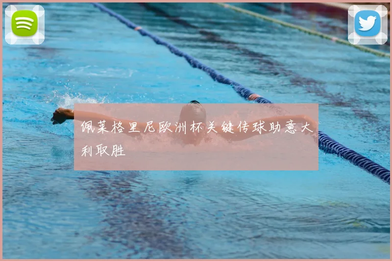 佩莱格里尼欧洲杯关键传球助意大利取胜