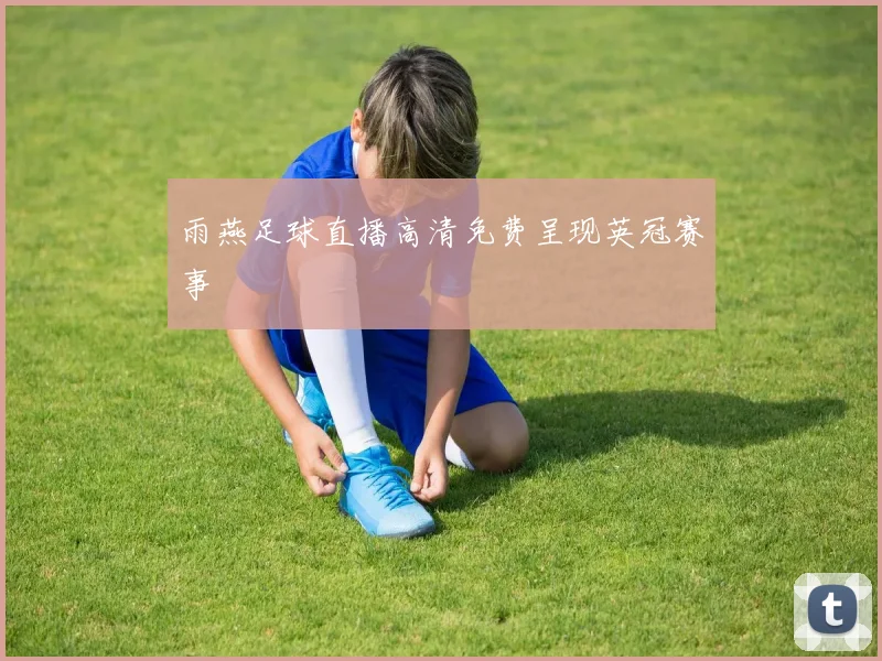 雨燕足球直播高清免费呈现英冠赛事