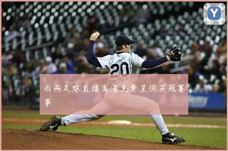 雨燕足球直播高清免费呈现英冠赛事
