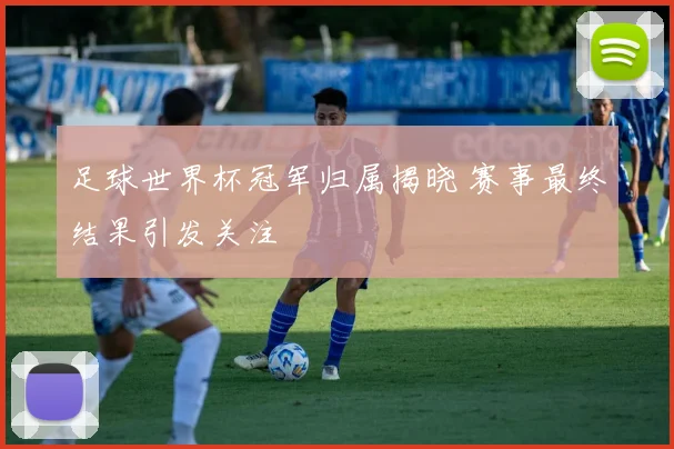 足球世界杯冠军归属揭晓 赛事最终结果引发关注