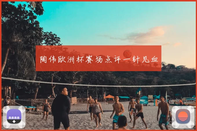 陶伟欧洲杯赛场点评一针见血
