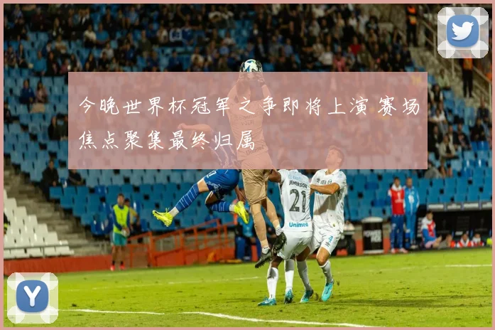 今晚世界杯冠军之争即将上演 赛场焦点聚集最终归属