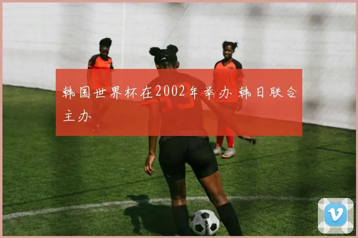 韩国世界杯在2002年举办 韩日联合主办