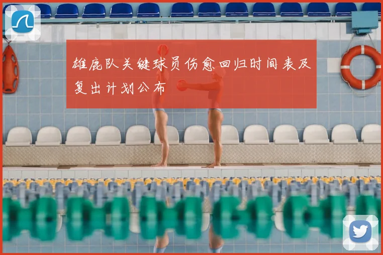 雄鹿队关键球员伤愈回归时间表及复出计划公布