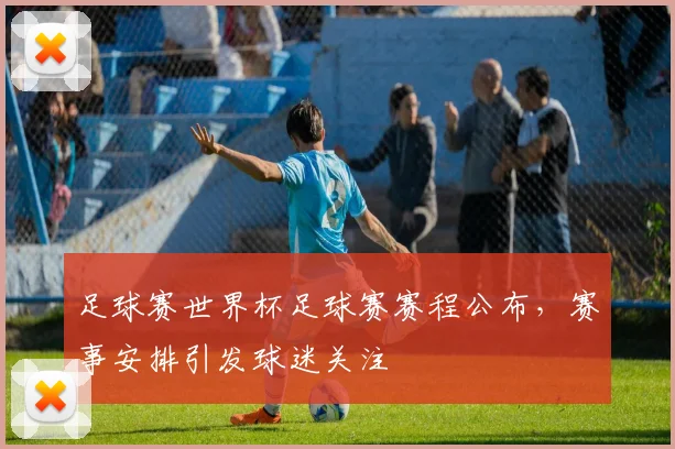 足球赛世界杯足球赛赛程公布,赛事安排引发球迷关注