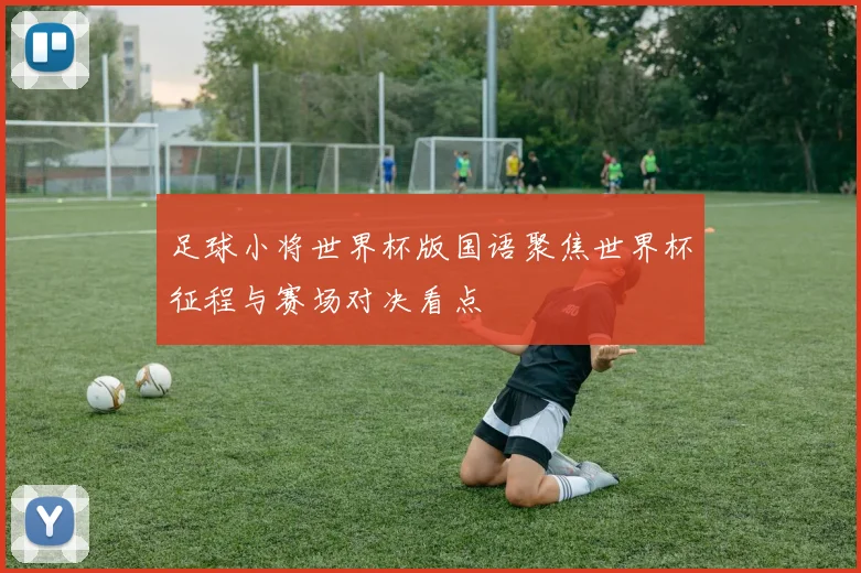 足球小将世界杯版国语聚焦世界杯征程与赛场对决看点