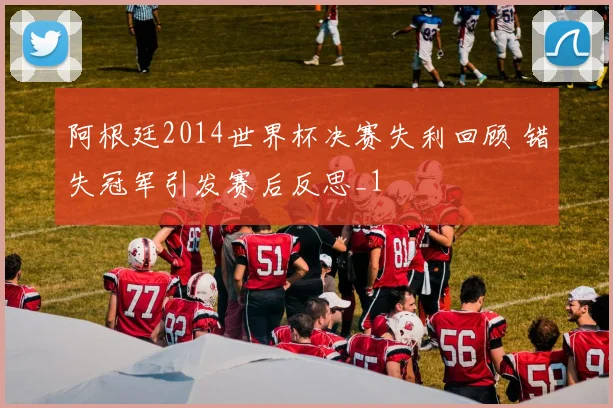 阿根廷2014世界杯决赛失利回顾 错失冠军引发赛后反思_1
